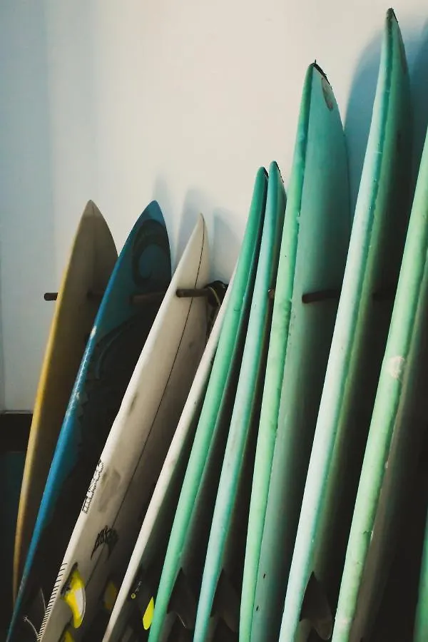 Single Fin Hostel Arona